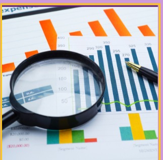 Financial report charts
